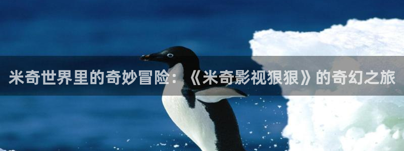 奇米影视777在线观看