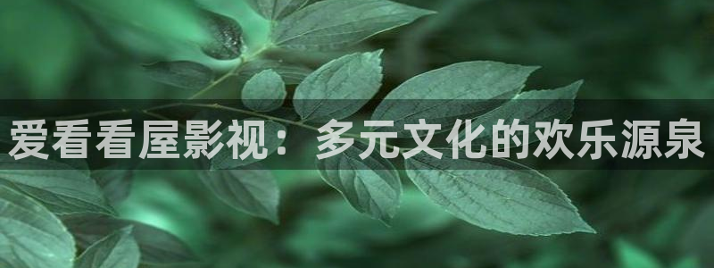 7777影院免费观看